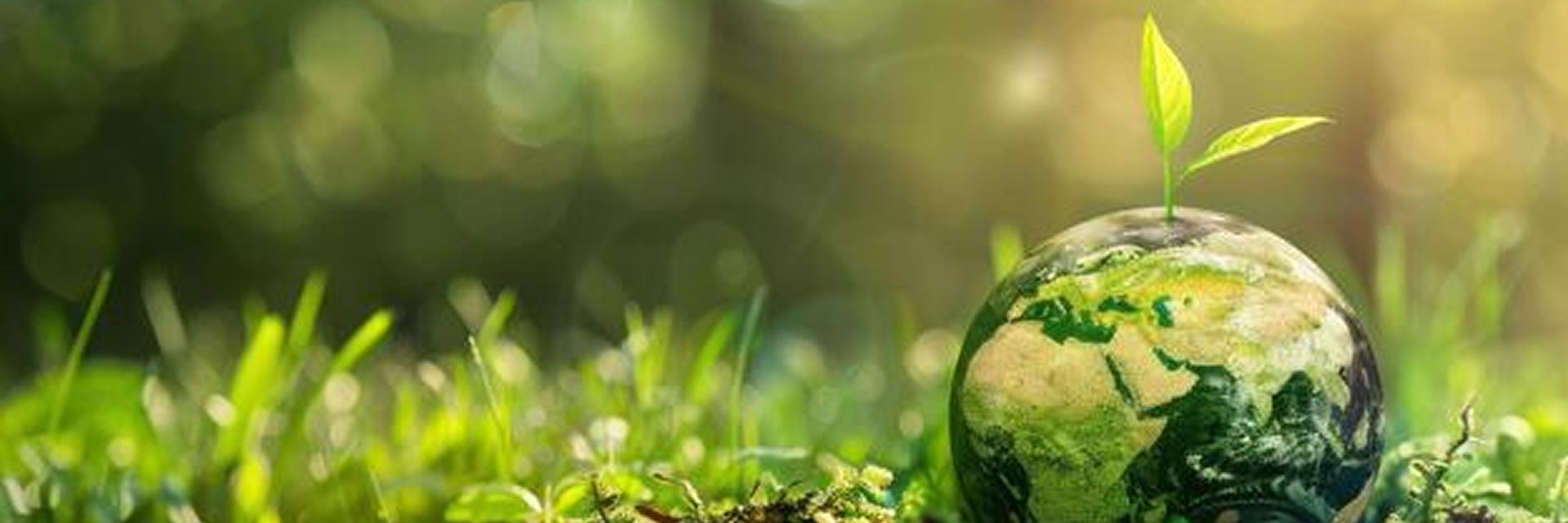 <h1>Sustainability<br>at Ethics Group of Companies</h1>