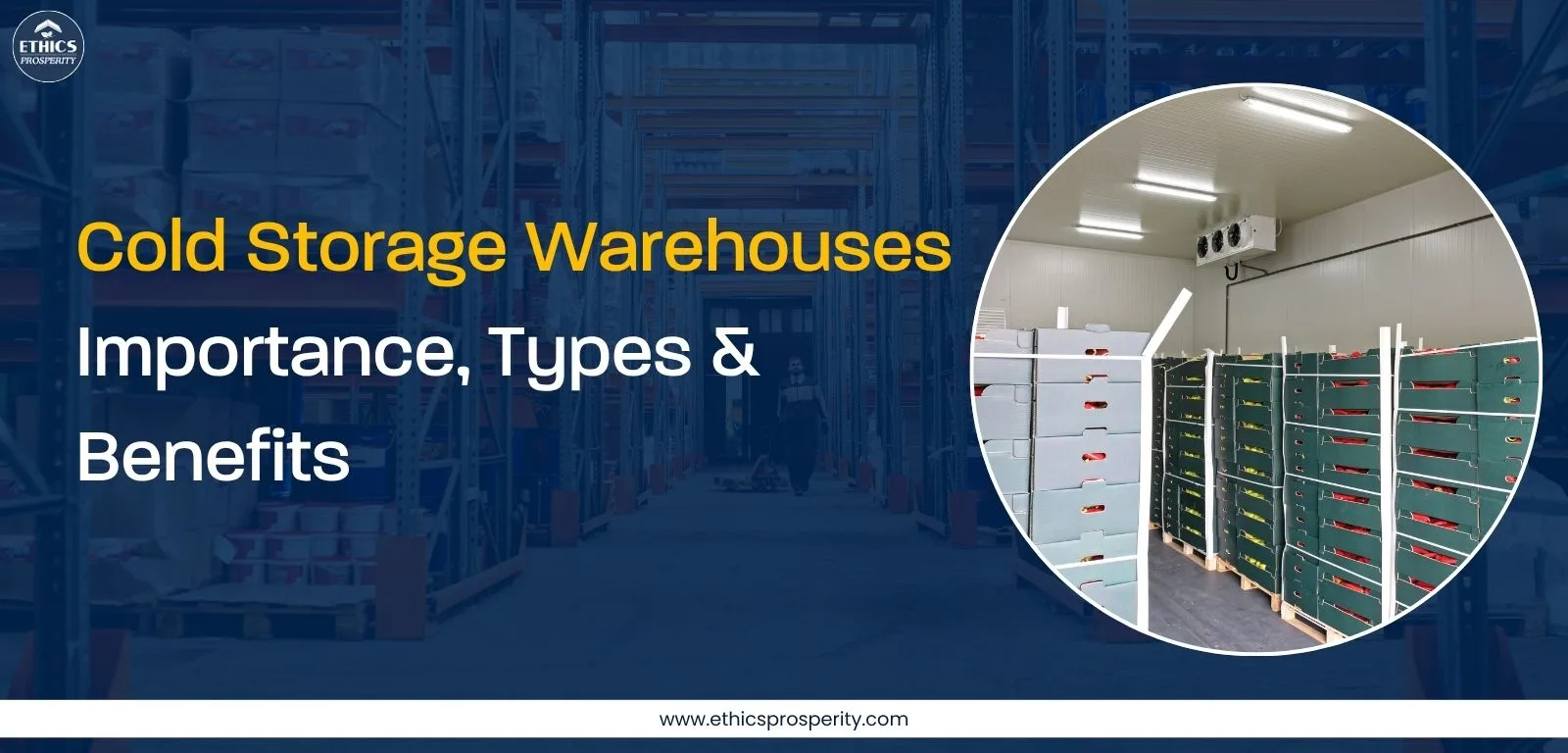 Cold storage warehouse facility with advanced temperature-controlled logistics showcasing efficient supply chain management for perishable goods.