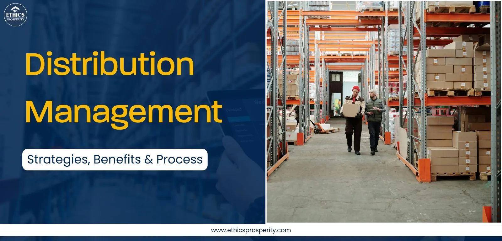 Distribution Management Process – Logistics, Warehousing, Transportation & Supply Chain Workflow Illustration