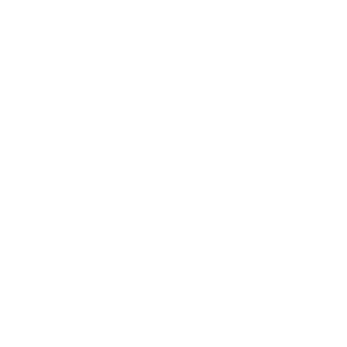 $detail['icon_image']['alt']