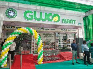 GUJCO MART – Limbdi Gallery Image
